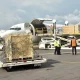 The 26 royal treasures arrived at Cotonou airport on 10 November 2021 on a Tunisian cargo plane chartered by the Beninese government. © Ange Gnacadja for JusticeInfo.net